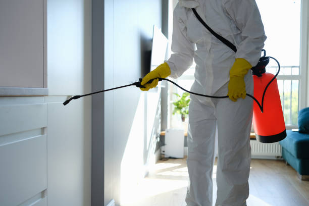 Best Mold Cleaning Services  in South Dennis, MA