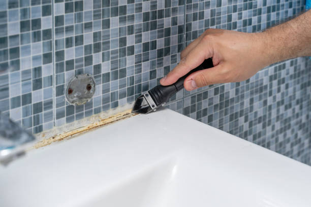 Best Mold Removal Near Me  in South Dennis, MA